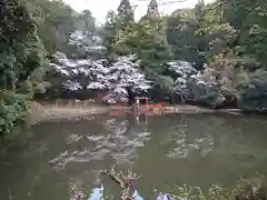 龗神神社(奈良県)