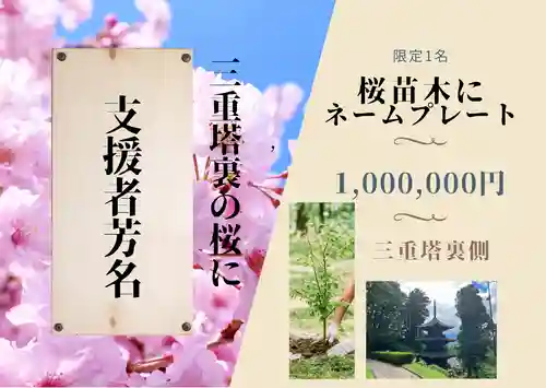 国宝 大法寺(長野県)