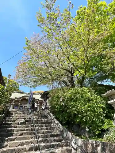 到津八幡神社(福岡県)