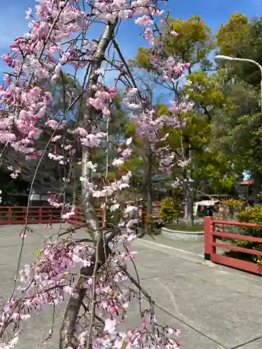 多摩川浅間神社の自然