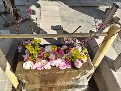 相模原氷川神社(神奈川県)