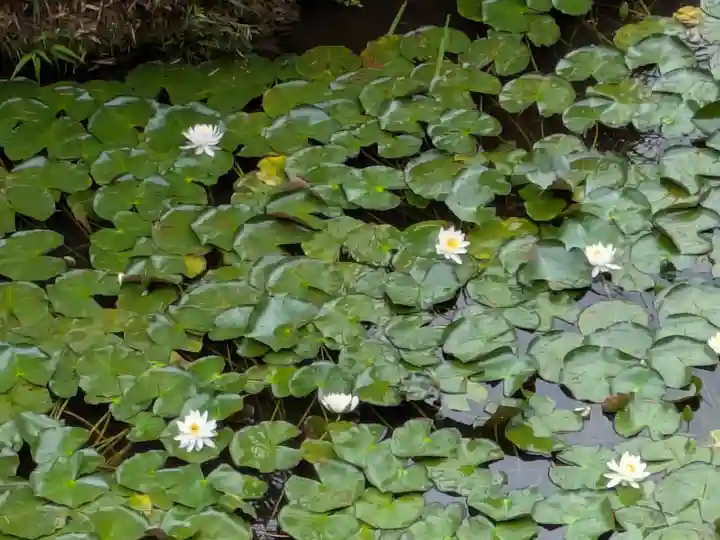 法華寺(岐阜県)