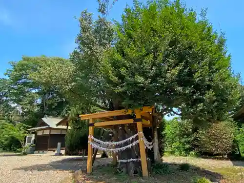 常陸二ノ宮　静神社の自然