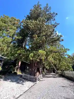 仁科神明宮(長野県)