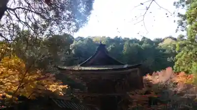 大矢田神社(岐阜県)