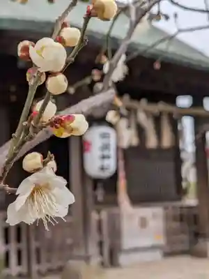 田端神社(東京都)