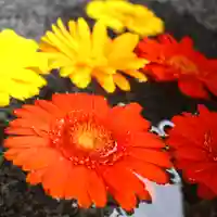 三津厳島神社の手水舎