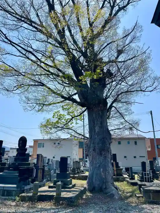 久福寺(福島県)