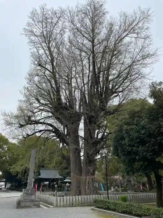 鑁阿寺の{uncategorized: "未分類", other: "その他", undefined: "問題あり", building: "その他建物", grave: "お墓", sacred_gate: "鳥居", guardian: "狛犬", statue: "像", buddha: "仏像", history: "歴史", nature: "自然", garden: "庭園", animal: "動物", pagoda: "塔", temizu: "手水舎", mountain_gate: "山門・神門", sanctuary: "本殿・本堂", subordinate: "末社・摂社", art: "芸術", scenery: "景色", jizo: "地蔵", ema: "絵馬", goshuin: "御朱印", omikuji: "おみくじ", items: "授与品その他", amulet: "お守り", goshuincho: "御朱印帳", eats: "食事", festival: "お祭り", votive_dance: "神楽", shichigosan: "七五三参", wedding: "結婚式", experience: "体験その他", initially: "初詣", around: "周辺", anti_infection: "感染症対策"}