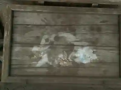 熊野社（塔野地東屋敷）の芸術