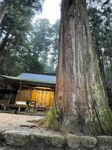 室生龍穴神社の自然