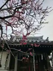 本性寺の本殿