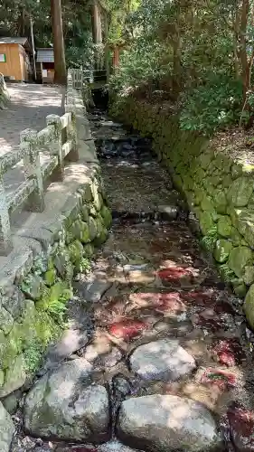 枚岡神社(大阪府)