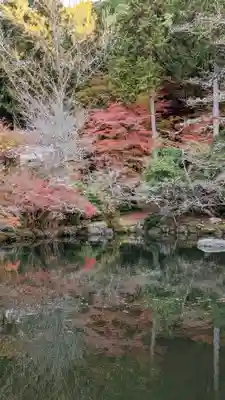 醍醐寺(京都府)