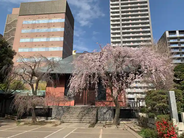 善性寺(東京都)