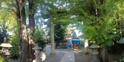 葛西神社(東京都)