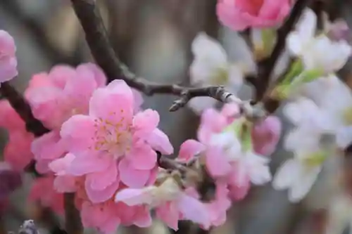 熊野福藏神社の手水舎