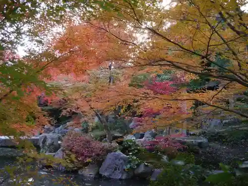 長岡天満宮の自然