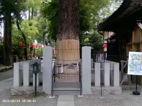 田無神社(東京都)