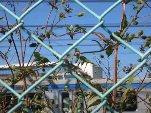 稲荷神社(神奈川県)