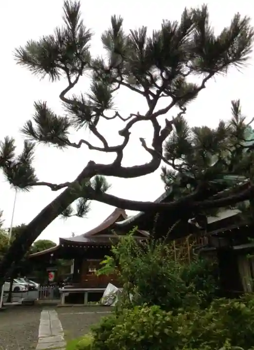 本郷氷川神社(東京都)