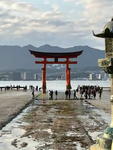 厳島神社の{uncategorized: "未分類", other: "その他", undefined: "問題あり", building: "その他建物", grave: "お墓", sacred_gate: "鳥居", guardian: "狛犬", statue: "像", buddha: "仏像", history: "歴史", nature: "自然", garden: "庭園", animal: "動物", pagoda: "塔", temizu: "手水舎", mountain_gate: "山門・神門", sanctuary: "本殿・本堂", subordinate: "末社・摂社", art: "芸術", scenery: "景色", jizo: "地蔵", ema: "絵馬", goshuin: "御朱印", omikuji: "おみくじ", items: "授与品その他", amulet: "お守り", goshuincho: "御朱印帳", eats: "食事", festival: "お祭り", votive_dance: "神楽", shichigosan: "七五三参", wedding: "結婚式", experience: "体験その他", initially: "初詣", around: "周辺", anti_infection: "感染症対策"}