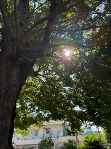 滝野川八幡神社(東京都)