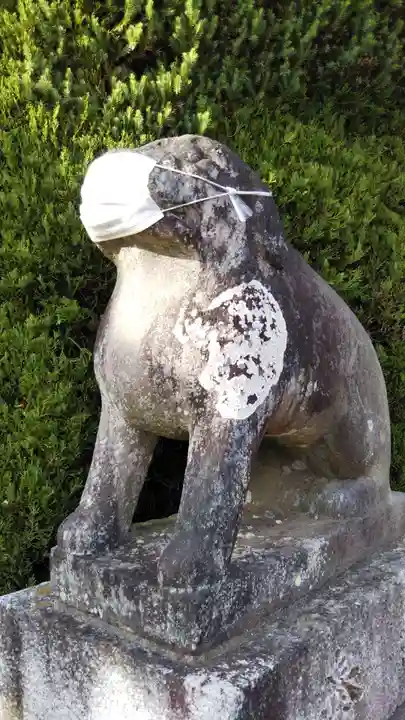 冨士浅間神社の狛犬