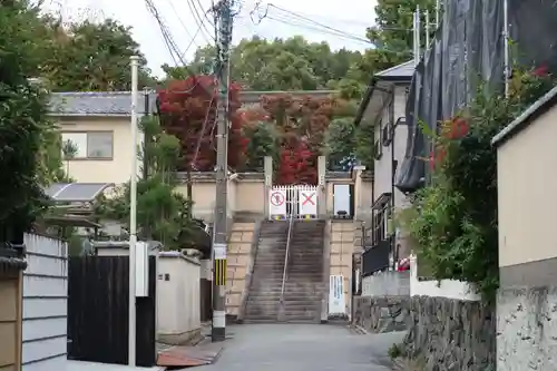 勝林寺(京都府)