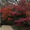 晴明神社の{uncategorized: "未分類", other: "その他", undefined: "問題あり", building: "その他建物", grave: "お墓", sacred_gate: "鳥居", guardian: "狛犬", statue: "像", buddha: "仏像", history: "歴史", nature: "自然", garden: "庭園", animal: "動物", pagoda: "塔", temizu: "手水舎", mountain_gate: "山門・神門", sanctuary: "本殿・本堂", subordinate: "末社・摂社", art: "芸術", scenery: "景色", jizo: "地蔵", ema: "絵馬", goshuin: "御朱印", omikuji: "おみくじ", items: "授与品その他", amulet: "お守り", goshuincho: "御朱印帳", eats: "食事", festival: "お祭り", votive_dance: "神楽", shichigosan: "七五三参", wedding: "結婚式", experience: "体験その他", initially: "初詣", around: "周辺", anti_infection: "感染症対策"}