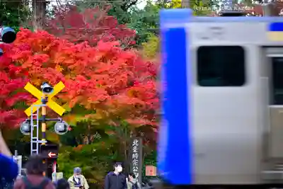 円覚寺(神奈川県)