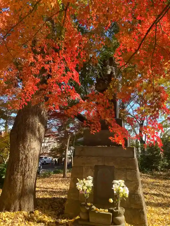 淨眞寺(東京都)