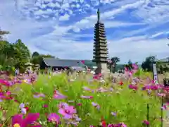 般若寺 ❁﻿コスモス寺❁の塔