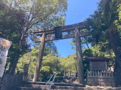 金崎宮の鳥居