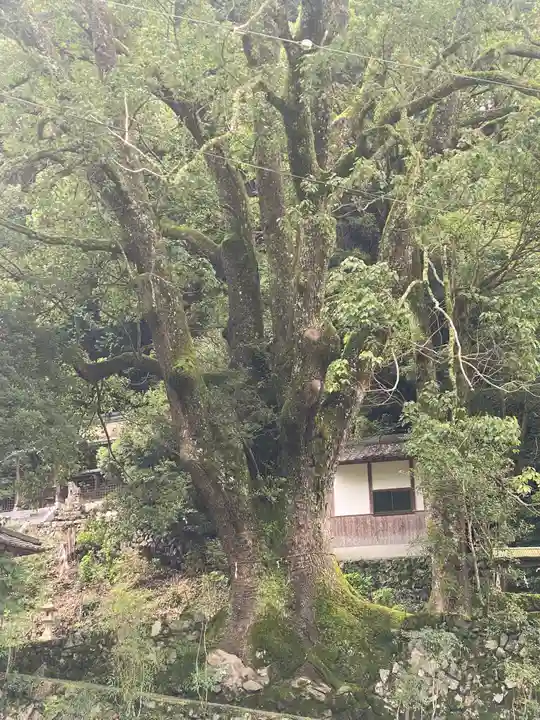 流谷八幡神社(大阪府)