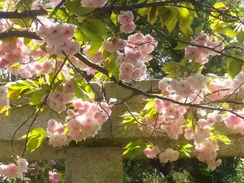 八雲神社（鎌倉・大町）の自然