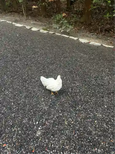 伊勢神宮外宮（豊受大神宮）(三重県)