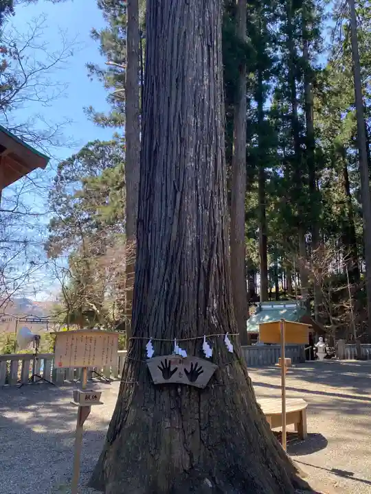熊野神社の自然