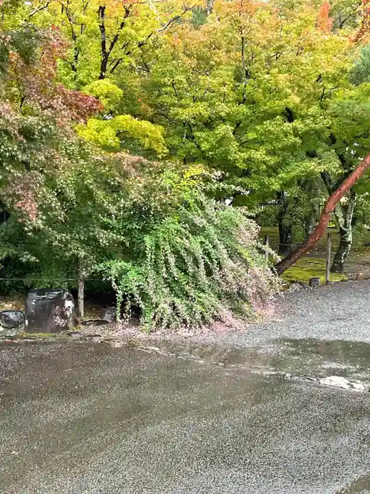 天龍寺(京都府)