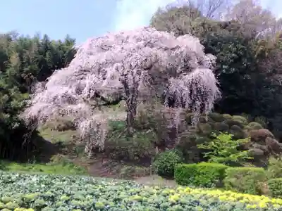 最勝寺(神奈川県)