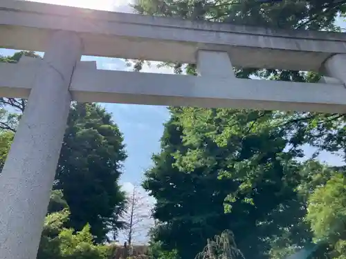 杵築大社(東京都)