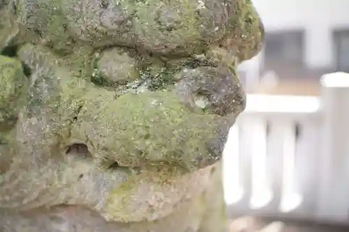 青渭神社の狛犬