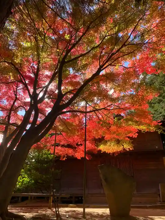 滑川神社 - 仕事と子どもの守り神(福島県)