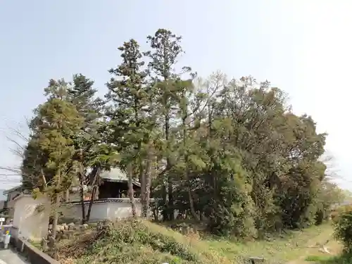 倭恩智神社の周辺