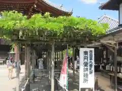 興福寺 南円堂(奈良県)