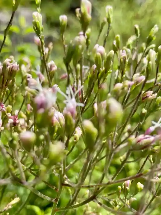 城南宮(京都府)