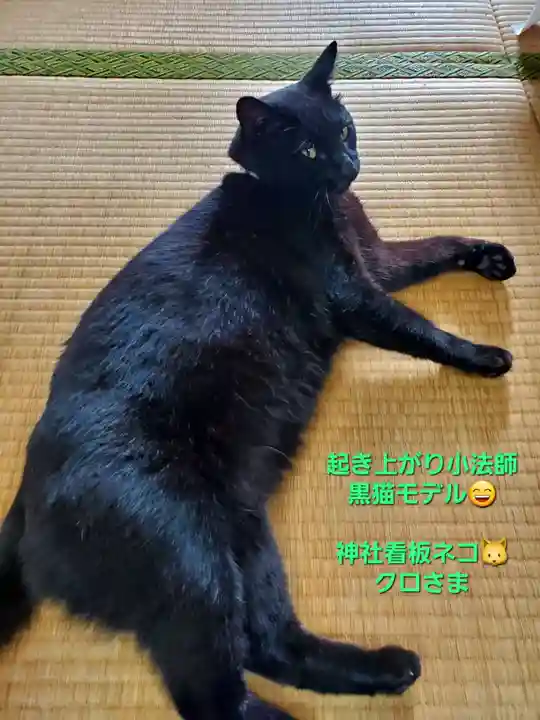 高司神社〜むすびの神の鎮まる社〜(福島県)