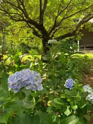 日光鹿島神社の自然