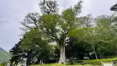 一宮神社(兵庫県)