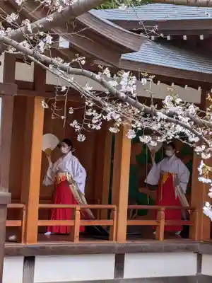 阿佐ヶ谷神明宮(東京都)